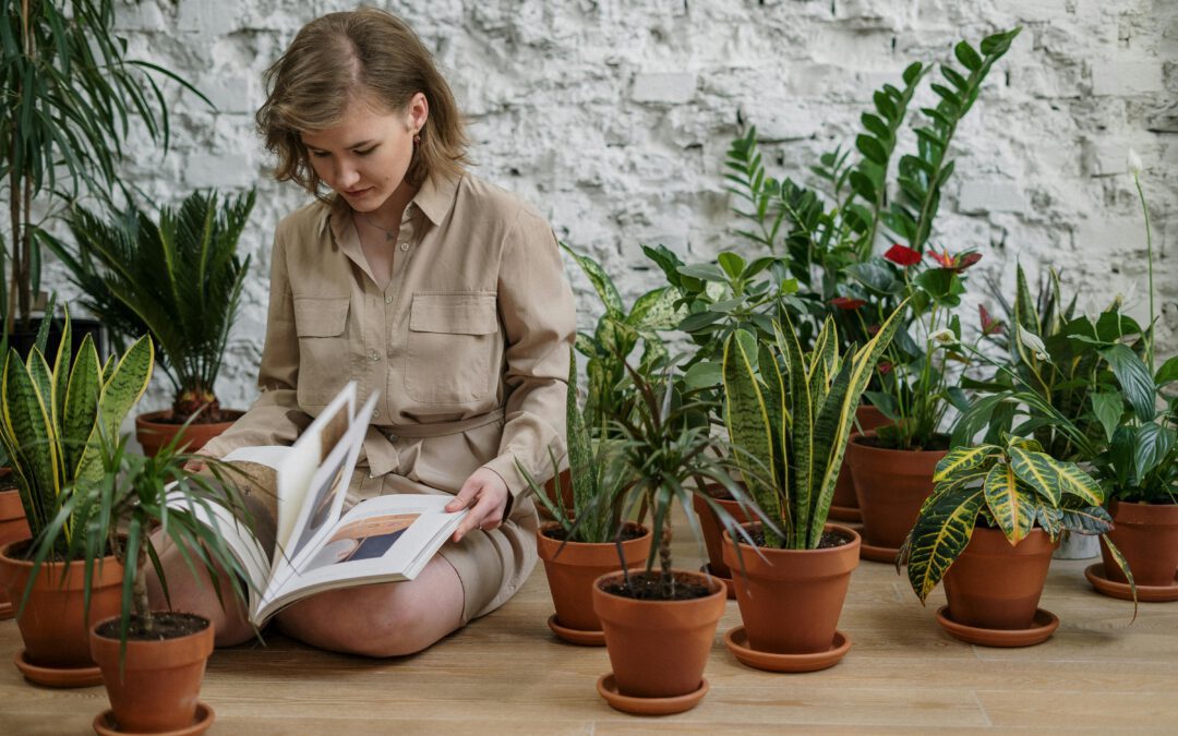 Een bloeiende gids voor het planten van bolbloemen