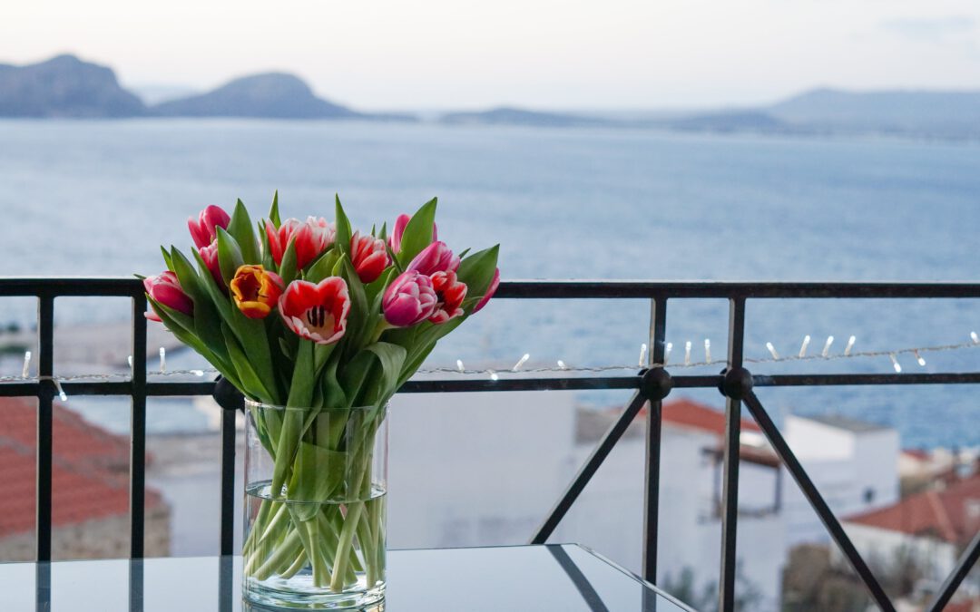 Een magische reis door de wereld van de Tulpentovenaar