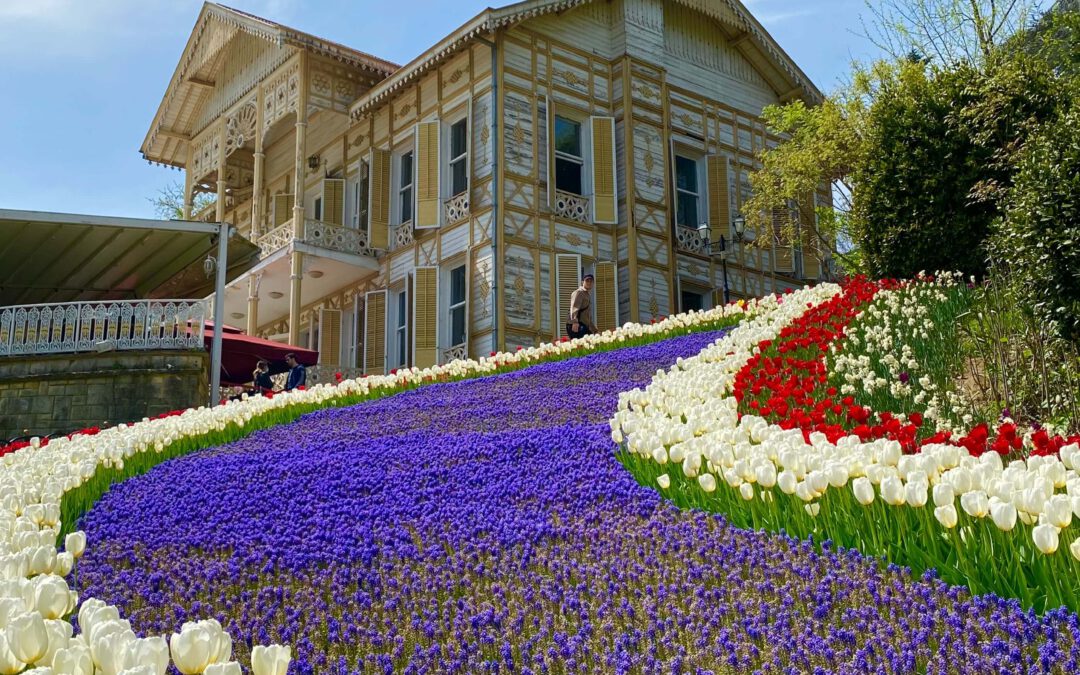 Het magische wandelen langs bolbloemen: Een avontuur van de Tulpentovenaar