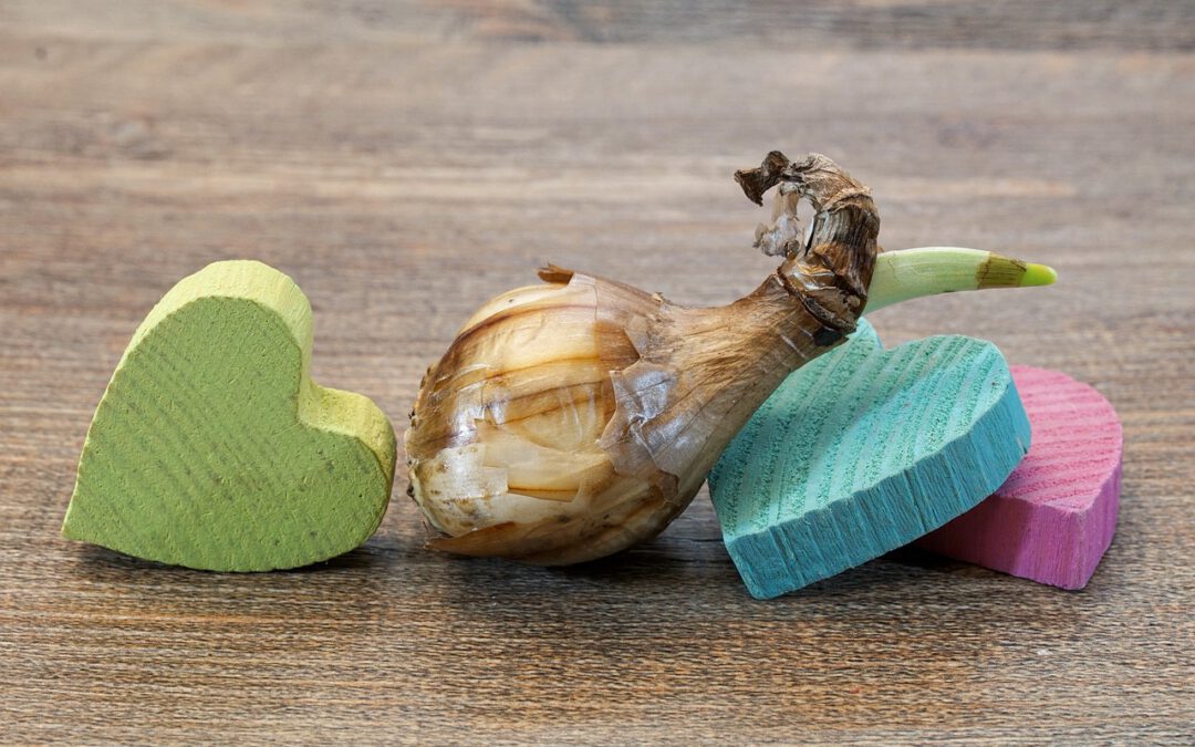 Betover je tuin in vier magische stappen met zomerbollen