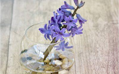 Hyacinten als snijbloemen: 5 Tips voor de perfecte schikking