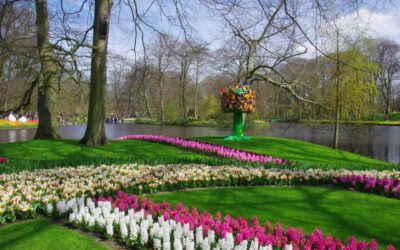 Bolbloemen in de Keukenhof, geïntroduceerd door bekende Nederlanders