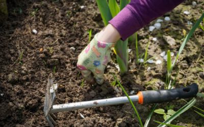 Kan ik allergisch zijn voor bloembollen? Ontdek het met de Tulpentovenaar