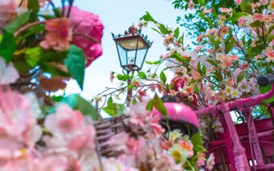 De magie van bolbloemen in Nederland